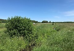 207_iP_210615_IMG_2698