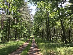 209_iP_210615_IMG_2700