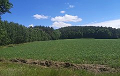 255_p20_IMG_20210615_130043