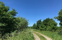 281_iP_210615_IMG_2710