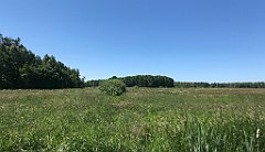 290_iP_210615_IMG_2720