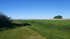 424_p20_IMG_20210615_155620