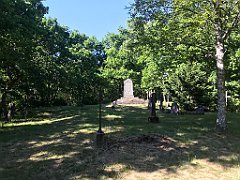 489_iP_210615_IMG_2762