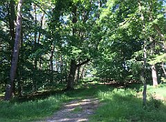 495_iP_210615_IMG_2764