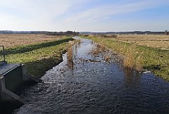 242_p20_IMG_20220213_121955