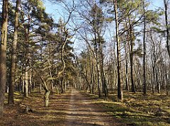 336_p20_IMG_20220213_133740