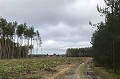 185_iP_220226_IMG_4054