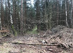 190_iP_220226_IMG_4058