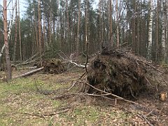 191_iP_220226_IMG_4060