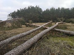 217_p20_IMG_20220226_121803