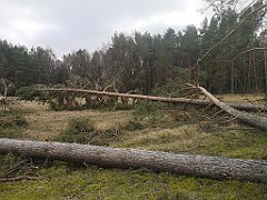 218_p20_IMG_20220226_121810