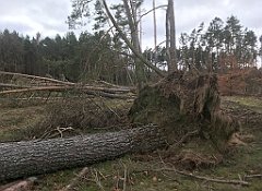 222_iP_220226_IMG_4067