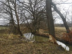 262_p20_IMG_20220226_124423