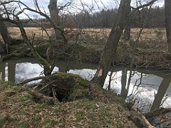 268_iP_220226_IMG_4079