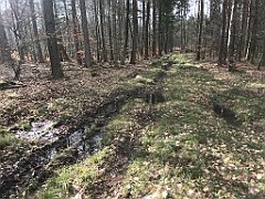 336_iP_220226_IMG_4096