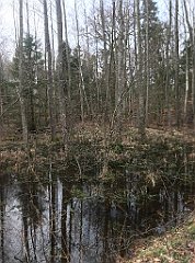 366_iP_220226_IMG_4100