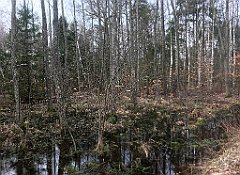 367_iP_220226_IMG_4102