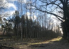 379_iP_220226_IMG_4104