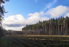 384_p20_IMG_20220226_152458