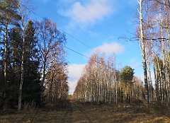 392_p20_IMG_20220226_153444