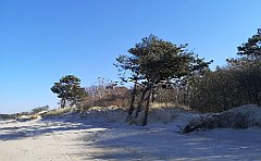 155_p20_IMG_20220301_110522