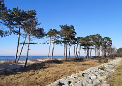 425_p20_IMG_20220301_143333