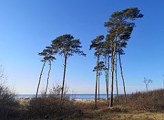 454_p20_IMG_20220301_145246