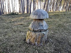 521_p20_IMG_20220301_155842