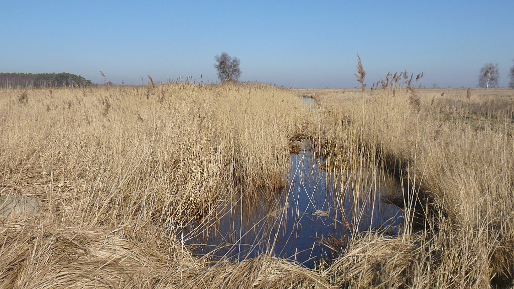 462_3D2_P1100103.JPG