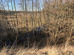 026_iP_220313_IMG_4510