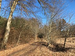 059_iP_220313_IMG_4531