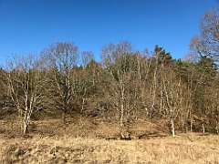 063_iP_220313_IMG_4535