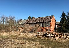 086_iP_220313_IMG_4537