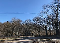 090_iP_220313_IMG_4541