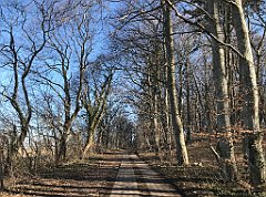 100_iP_220313_IMG_4549