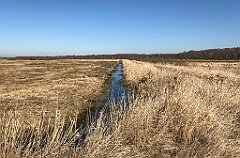 167_iP_220313_IMG_4575