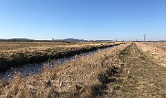 201_iP_220313_IMG_4583