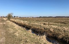 241_iP_220313_IMG_4602