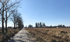 288_iP_220313_IMG_4611