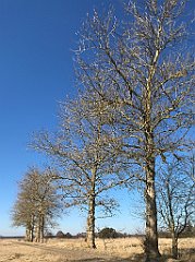 343_iP_220313_IMG_4632