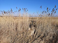 403_p20_IMG_20220313_133746