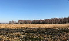 498_iP_220313_IMG_4679