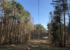 022_iP_220320_IMG_4703