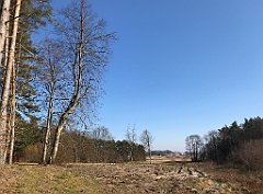 057_iP_220320_IMG_4724