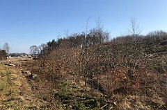 060_iP_220320_IMG_4725