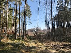 062_iP_220320_IMG_4727