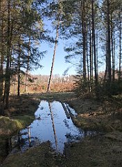 074_iP_220320_IMG_4733