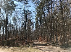 086_iP_220320_IMG_4738