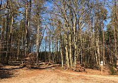 087_iP_220320_IMG_4739