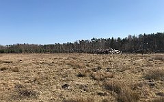 200_iP_220320_IMG_4751